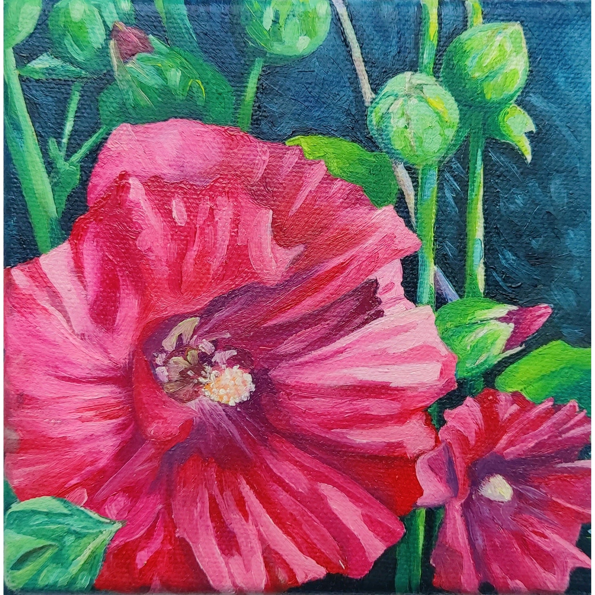 Hollyhock From My Garden-Breda Greaney Art